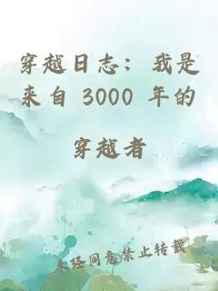 穿越日志：我是来自 3000 年的穿越者