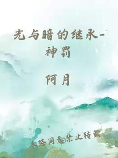 光与暗的继承-神罚